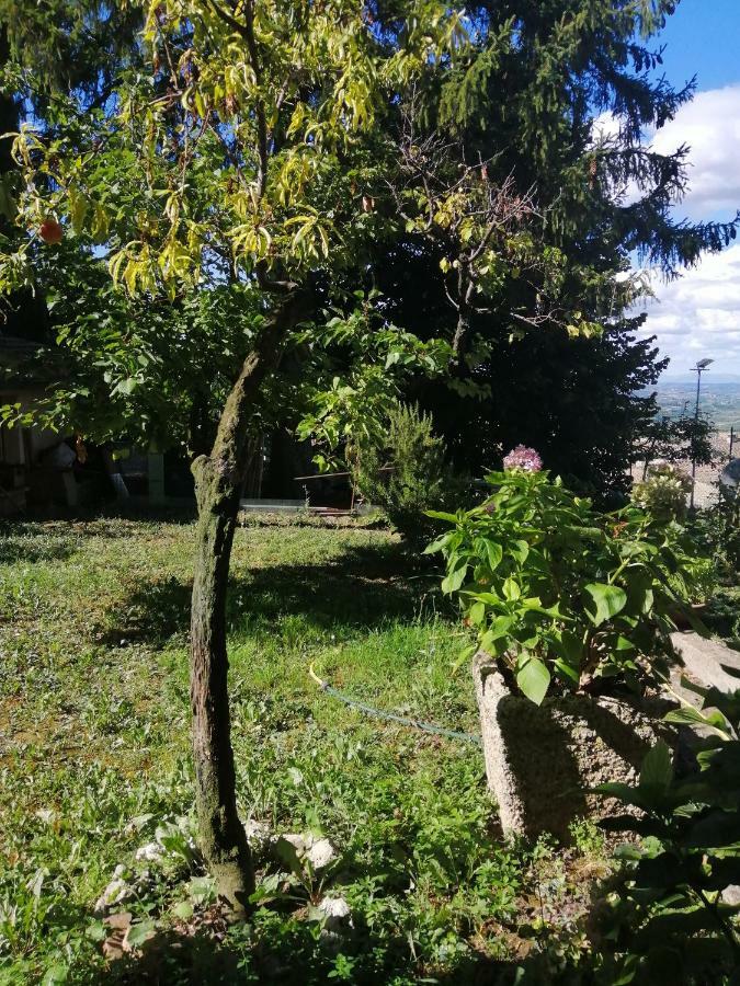 Orto Di Emma Lejlighed San Gimignano Eksteriør billede